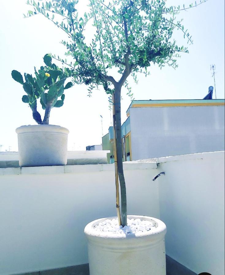 布林迪西Dimora Asmara 11 15公寓 外观 照片